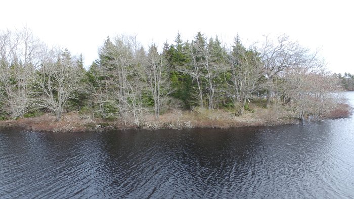 WentworthHalbinsel (64)